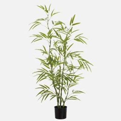 Bamboo Tree 5'