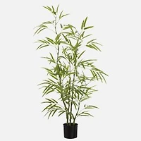Bamboo Tree 5'
