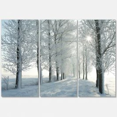Winter Trees Backlit by Morning Sun Canvas Wall Art