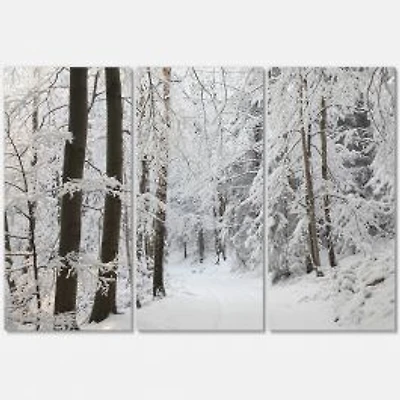 Dense Winter Forest and Lane Canvas Wall Art