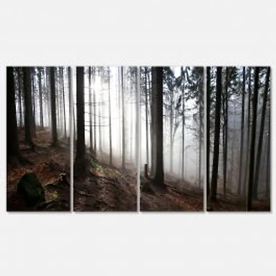 Misty Forest Morning Panorama Canvas Wall Art