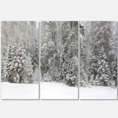 Foggy Winter Forest Panorama Canvas Wall Art