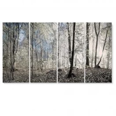 Dark Morning in the Forest 4 Canvas Wall Art