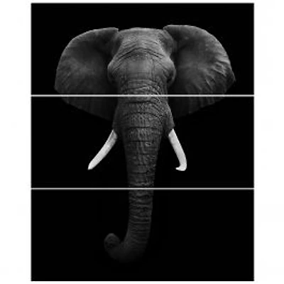 African Elephant Canvas Wall Art Panels