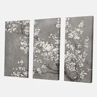 White Cherry Blossoms II Canvas Wall Art Print