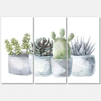 Cactus and Succulent House Plants I Canvas Wall Art