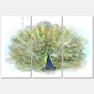 Peacock Bird Canvas Wall Art - 3 Panels