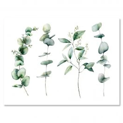 Green Eucalyptus Branches I Canvas Wall Art Print