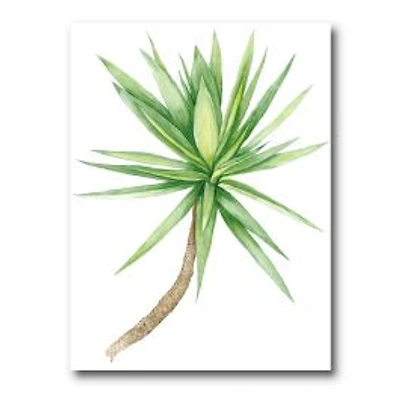 Detail of Yucca Tree Canvas Wall Art Print