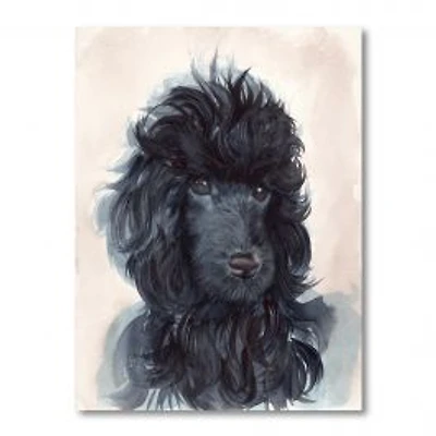 Portrait of The Black Poodle Puppy with Curly Coat Canvas Wall Art Print