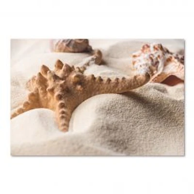 Close Up of Starfish and Seashell on Light Sand Canvas Wall Art Print