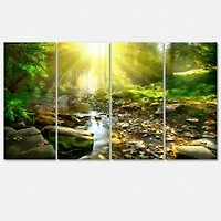 Mountain Stream in Forest Canvas Wall Art