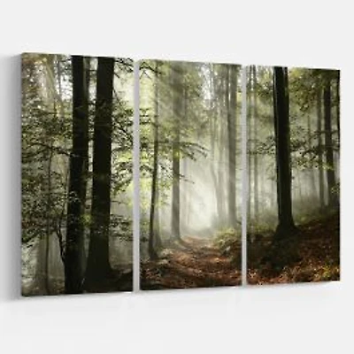 Light in Dense Fall Forest with Fog - Canvas Art Print