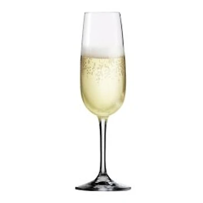 Set of 6 SensisPlus Vino Nobile Champagne Flutes
