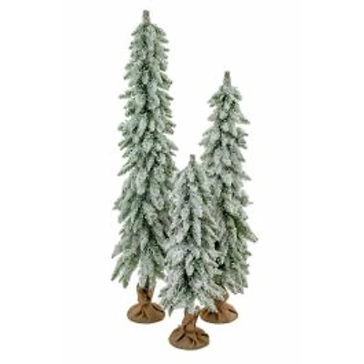 Ensemble de sapins verts foncés givrés