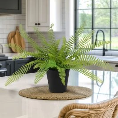 Sword Fern Faux Plant in Pot