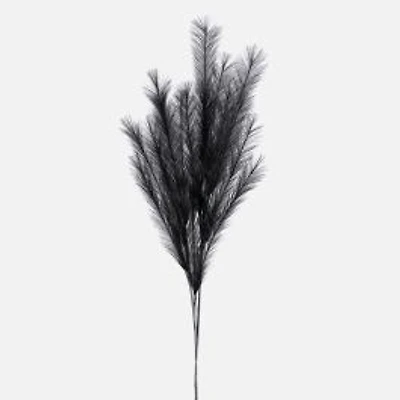 Desert Feather Pampas by Torre & Tagus