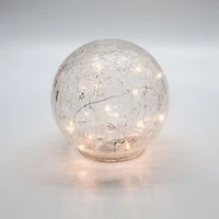 LED Sphere Glass Light