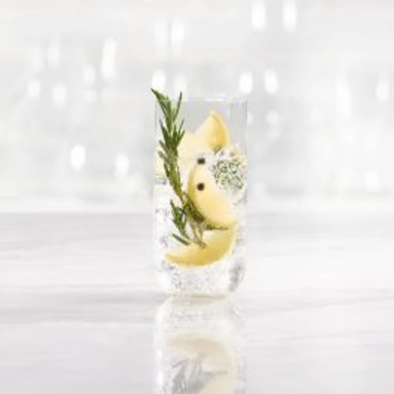 Grace Set of 4 Highball Glasses by Trudeau