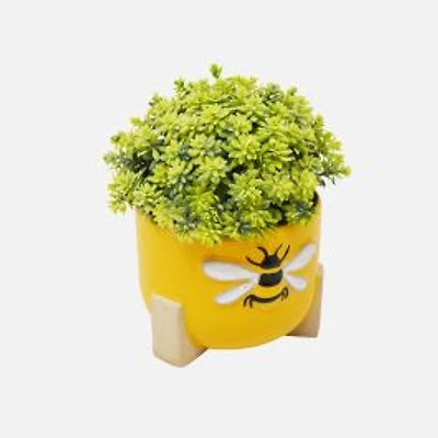 Sedum Bee Planter