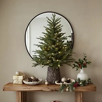 Sapin «Jasper Elite Fraser» avec DEL - 4 pi
