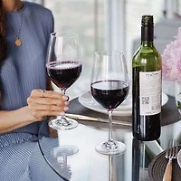 Forte Set of 6 + 2 Free Red Wine Glasses by Schott Zwiesel