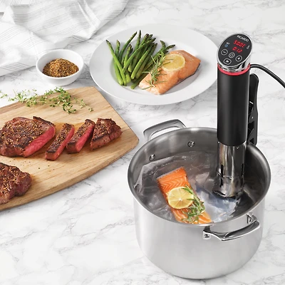 Ricardo Sous-Vide Precision Cooker with Color Changing LED Ring