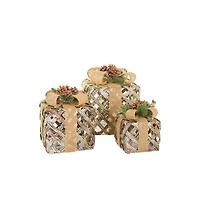 Gold Metal Gift Box Warm White LED Accents
