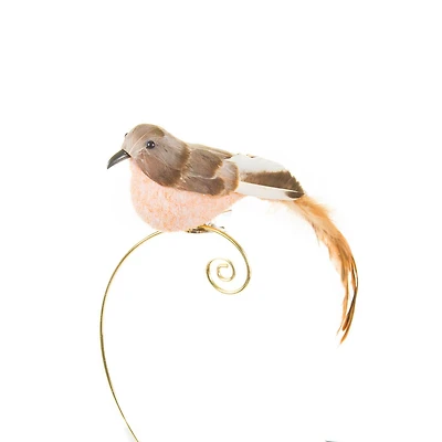 Oiseaux bruns à clipser, ensemble de 6