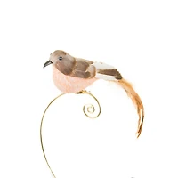 Oiseaux bruns à clipser, ensemble de 6