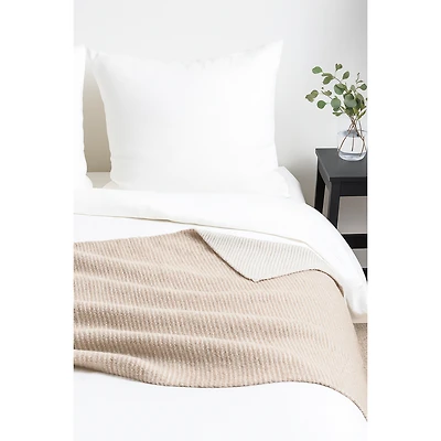 Softy Couverture