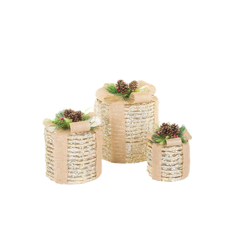 Circular Cream and Silver Sisal Rope Gift Box Warm White LED Accents Pinecones