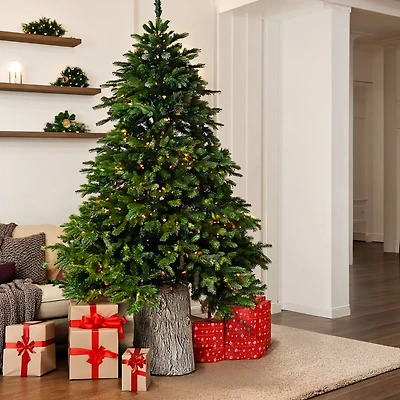Sapin «Jasper Elite Fraser» avec DEL - 7,5 pi