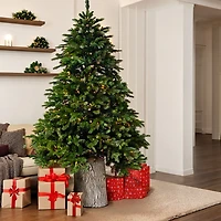 Sapin «Jasper Elite Fraser» avec DEL - 7,5 pi