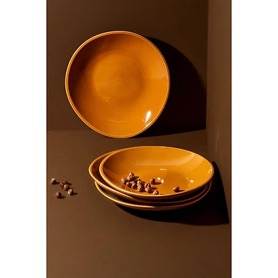Set of 4 Dadasi Dinner Plates - Terracotta