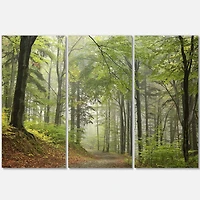 Green Beach Forest Pathway Canvas Wall Art - 3 Panels