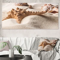 Close Up of Starfish and Seashell on Light Sand Canvas Wall Art Print