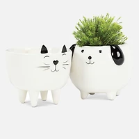 Cache-pot chien en céramique