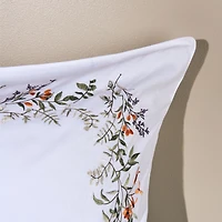 Alessa Euro Sham
