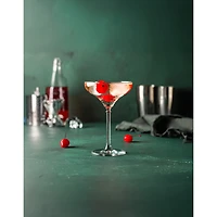 Palette Martini Glasses, Set of 12 - 7.75oz