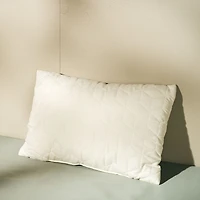 Allen Coussin boudoir