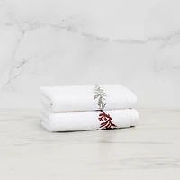Florence Washcloth - Brick