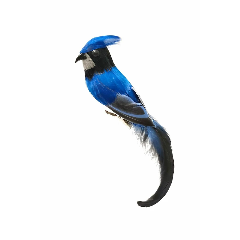 Hanging Blue and White Feathered Bluejay Ornament, Pack of 10