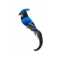Hanging Blue and White Feathered Bluejay Ornament, Pack of 10