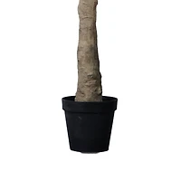 Majestic Tuscan Olivier