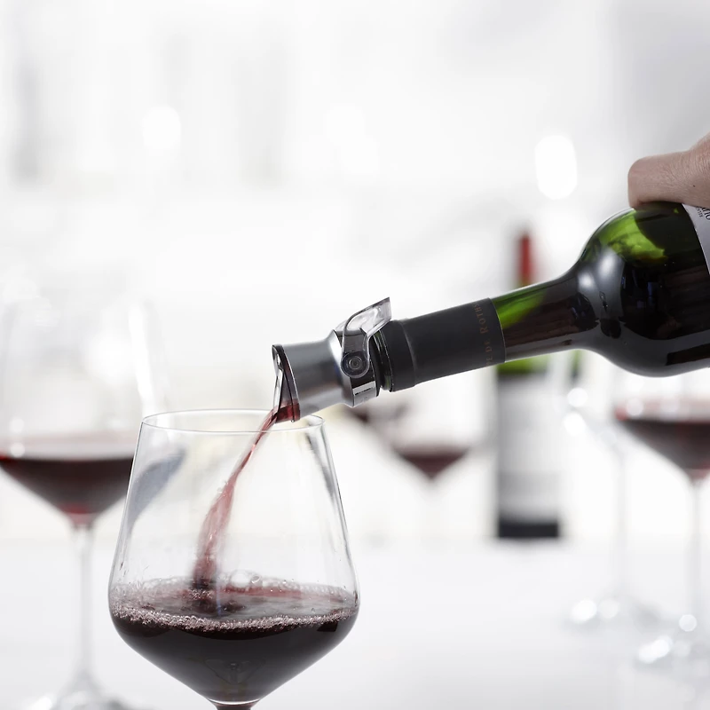 Trudeau Origin Bottle Pourer and Stopper