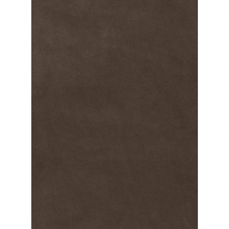 Coussin décoratif Collection Velour 22 po x