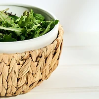 JS Gourmet Saladier en céramique et jacinthe d'eau