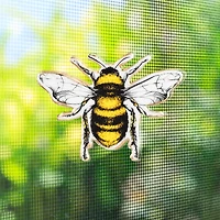Bumble Bee Two-Sided Magnet Decor - 3"