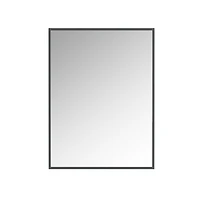 Apex Framed Rectangular Mirror
